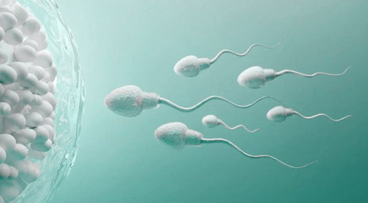 Can Lube Affect Sperm Health Or Fertility?